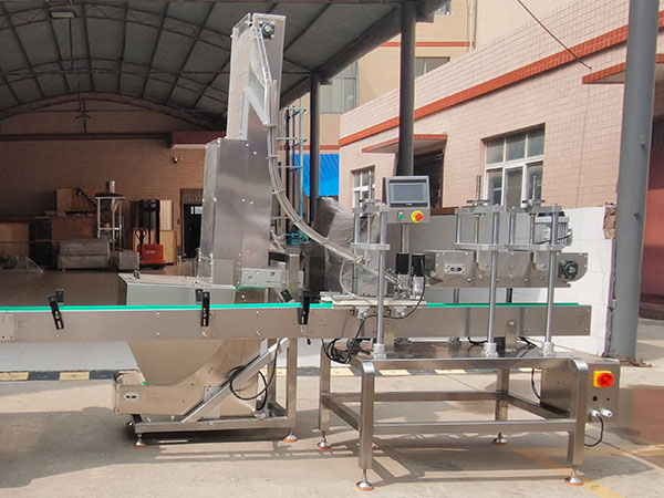 1L蒜蓉醬灌裝機(jī)壓蓋生產(chǎn)線